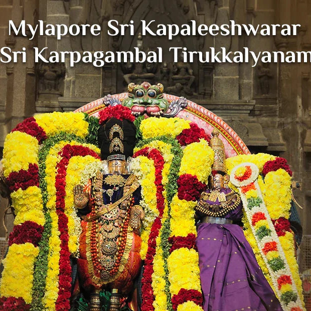 Mylapore Sri Kapaleeshwarar – Sri Karpagambal Tirukkalyanam