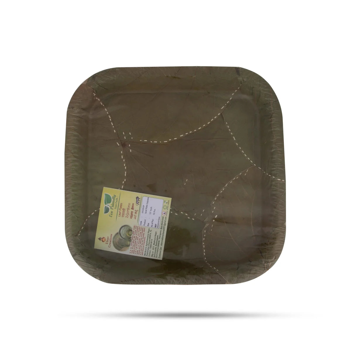 Eco Friendly Plates for a Sustainable Future