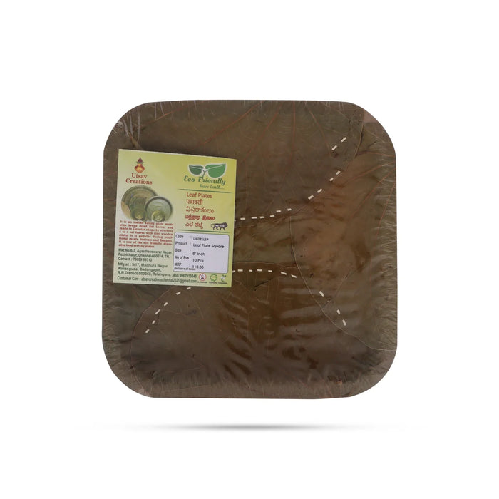 Leaf Plate Set - 8 Inches | 10 Pcs/ Disposable Plates/ Palm Leaf Plates/ Square Plates