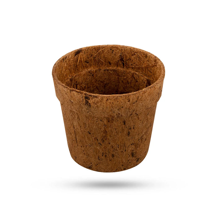 Coco Pot Set - 3.5 x 4 Inches | 5 Pcs/ Coir Pot/ CoCo Coir Pot for Plants