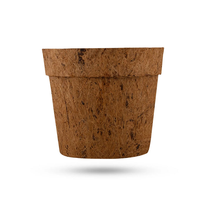 Coco Pot Set - 3.5 x 4 Inches | 5 Pcs/ Coir Pot/ CoCo Coir Pot for Plants