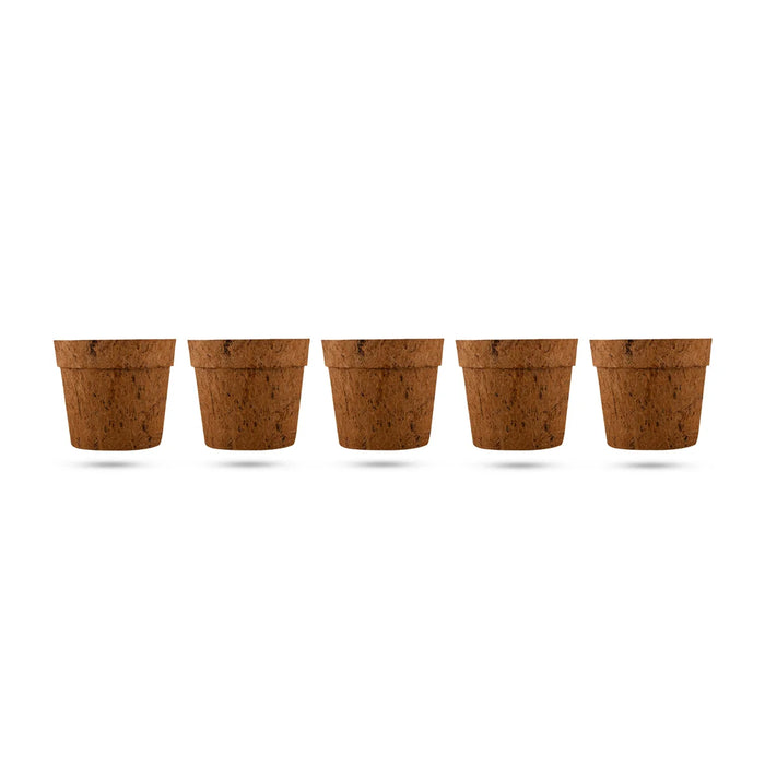 Coco Pot Set - 3.5 x 4 Inches | 5 Pcs/ Coir Pot/ CoCo Coir Pot for Plants