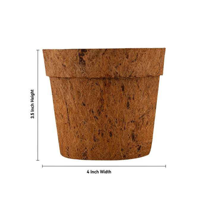 Coco Pot Set - 3.5 x 4 Inches | 5 Pcs/ Coir Pot/ CoCo Coir Pot for Plants