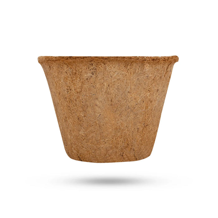 Coco Pot Pair - 5 x 6 Inches | 2 Pcs/ Coir Pot/ CoCo Coir Pot for Plants