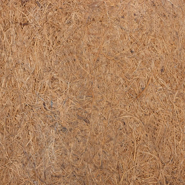 Coco Pot Pair - 5 x 6 Inches | 2 Pcs/ Coir Pot/ CoCo Coir Pot for Plants