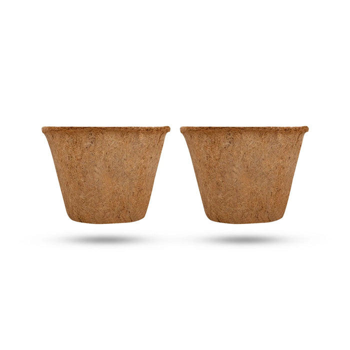 Coco Pot Pair - 5 x 6 Inches | 2 Pcs/ Coir Pot/ CoCo Coir Pot for Plants