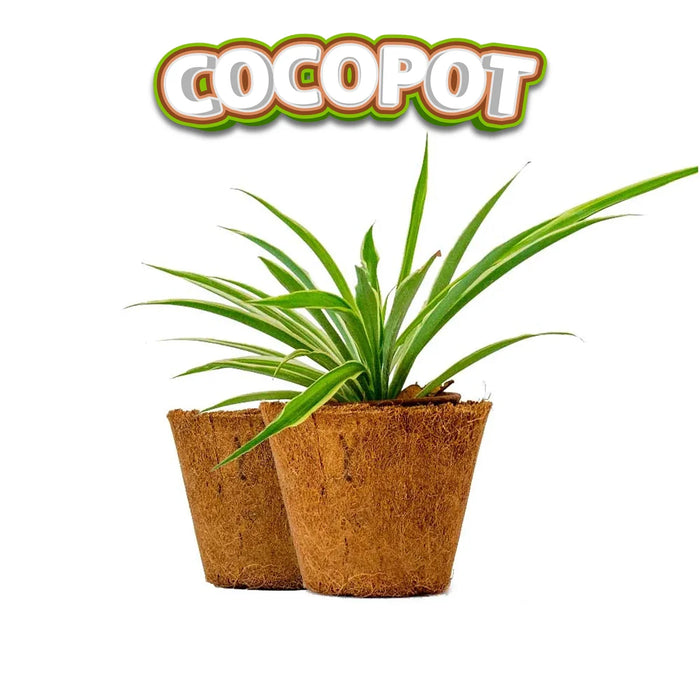 Large Coco Pot Giri USA - Coco Pot | Coir Pots | Coco Fiber Pots