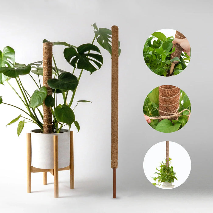 Coco Pole - 5 Feet | Coir Pole/ Coconut Pole/ Coir Pole for Plants