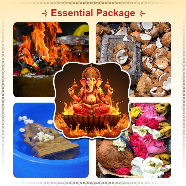 Ganesha Chaturthi Homam | 2024 Essential Package/ Ganapathy Homam for Relationship & Longevity