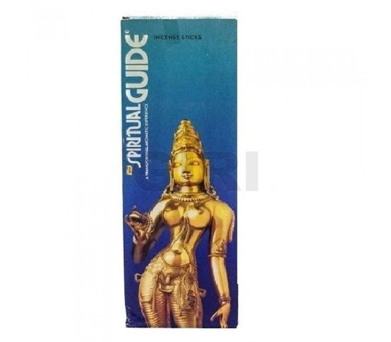 Padmini Spiritual Guide Incense Sticks - 50 Pcs | Agarbatti/ Natural Fragrance Agarbathi for Pooja