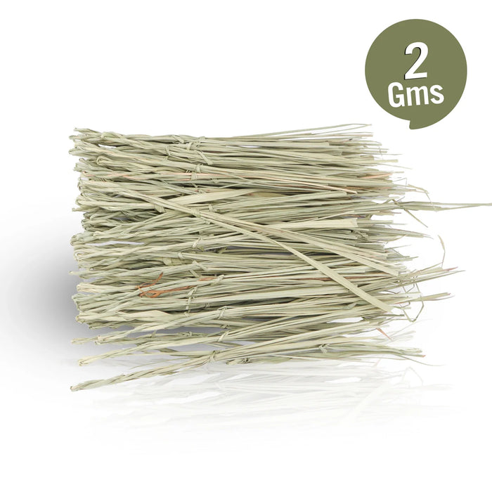 Giri 3 Pul Koorcham - 1 Stick | 3 Pul Koorcham/ Darbha Grass/ Kusha Grass for Pooja