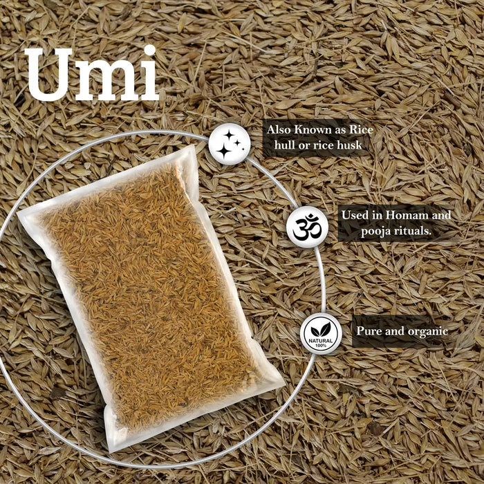 Giri Umi - 100 Gms | Rice Hulls/ Paddy Husk for Pooja