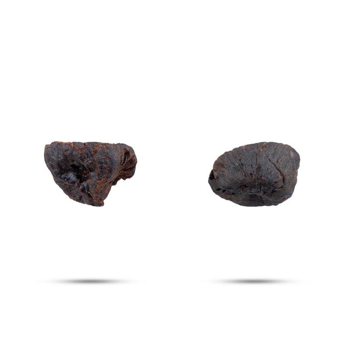 Betelnut - 3 Gms | Areca Nut/ Paaku for Function