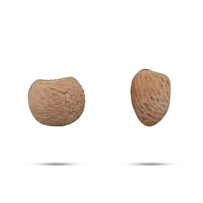 Kottai Pakku - 5 Gms | Dried Betelnut/ Kotta Pakku/ Areca Nut for Function