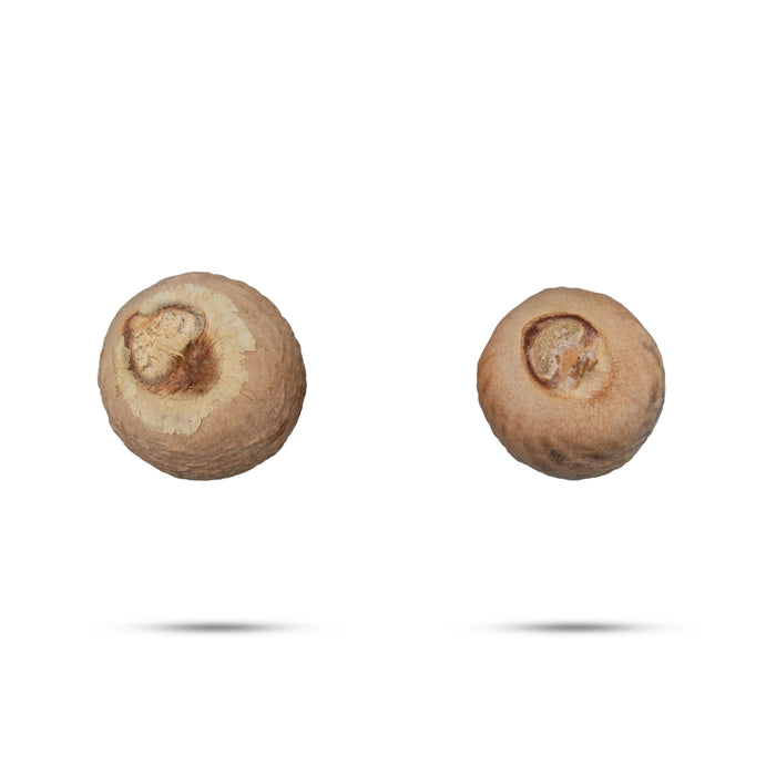 Kottai Pakku - 5 Gms | Dried Betelnut/ Kotta Pakku/ Areca Nut for Function