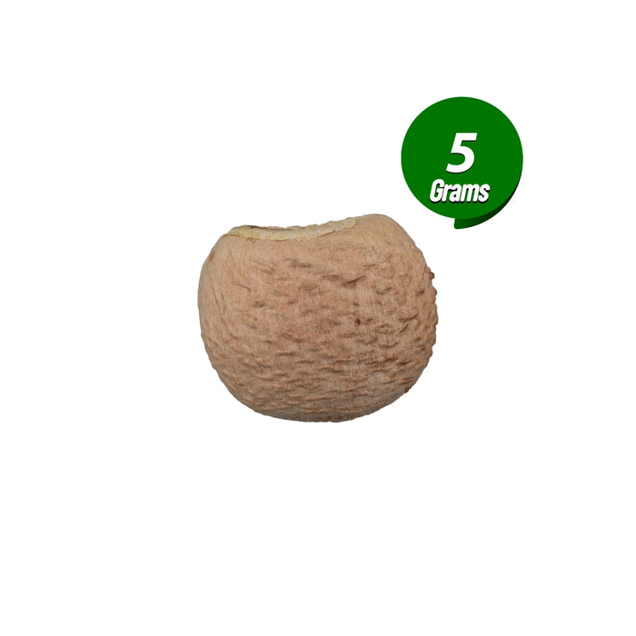 Kottai Pakku - 5 Gms | Dried Betelnut/ Kotta Pakku/ Areca Nut for Function