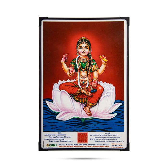 Laminated Photo Frame - 15 x 10 Inches | Wall Picture/ Laminated Picture Frame for Home Decor/ Assorted Design