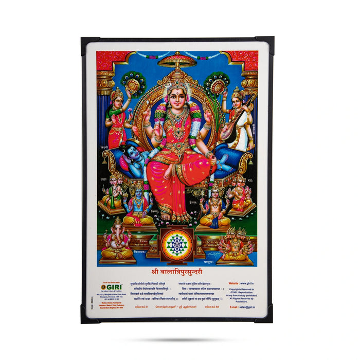 Laminated Photo Frame - 15 x 10 Inches | Wall Picture/ Laminated Picture Frame for Home Decor/ Assorted Design