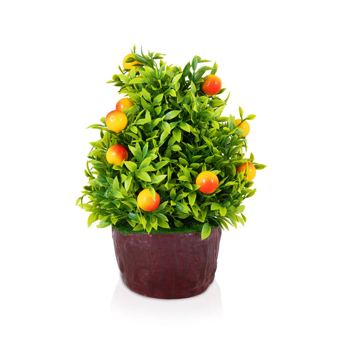 Artificial Bonsai Plant - 10 x 6 Inches | Decorative Faux Tree / Indoor Mango Plant for Tabletop Decor