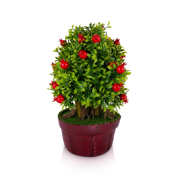 Artificial Bonsai Plant - 14 x 8 Inches | Decorative Pomegranate Tree / Indoor Plant for Home Decor