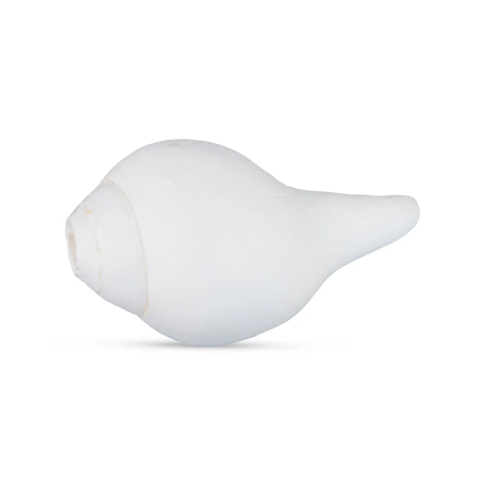 Blowing Shankh - 2 x 4.5 Inches | Shankha/ Conch for Pooja