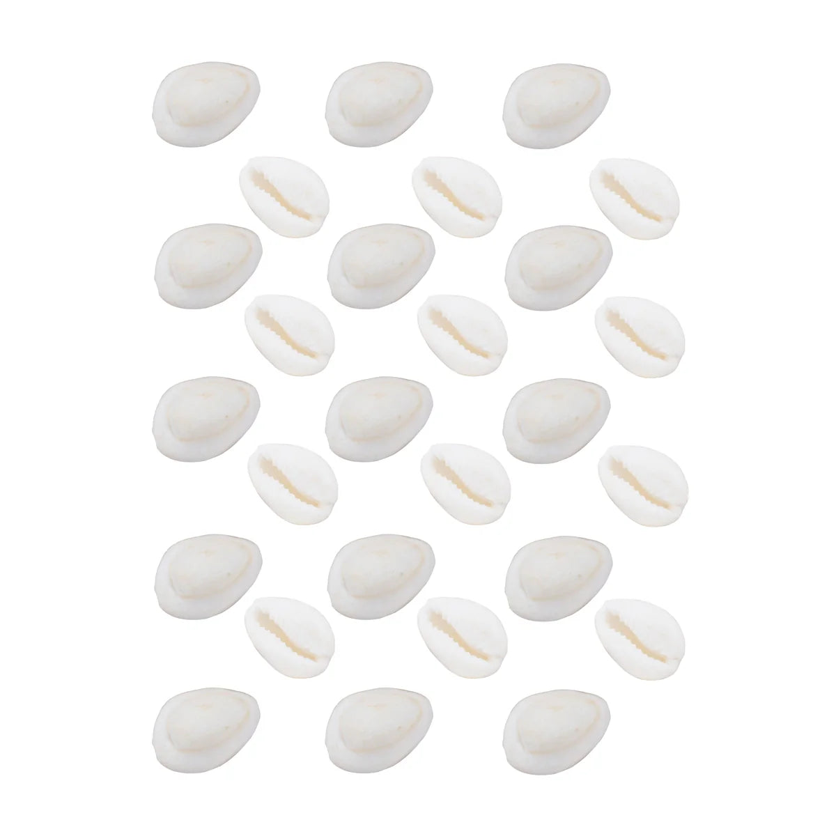 Kouri Shell Giri USA - Sozhi | Cowrie Shells | kaudi | Kauri Shell