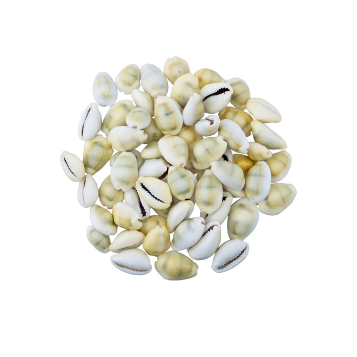 Yellow Chozhi - 100 Gms | Sozhi/ Cowrie Shells/ Kaudi/ Kauri Shell For Pooja