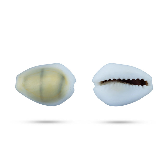 Kouri Shell Giri - Yellow Chozhi Medium | Cowrie Shells | Sozhi — Giri USA