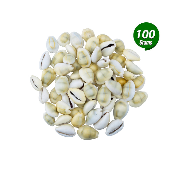 Yellow Chozhi - 100 Gms | Sozhi/ Cowrie Shells/ Kaudi/ Kauri Shell For Pooja