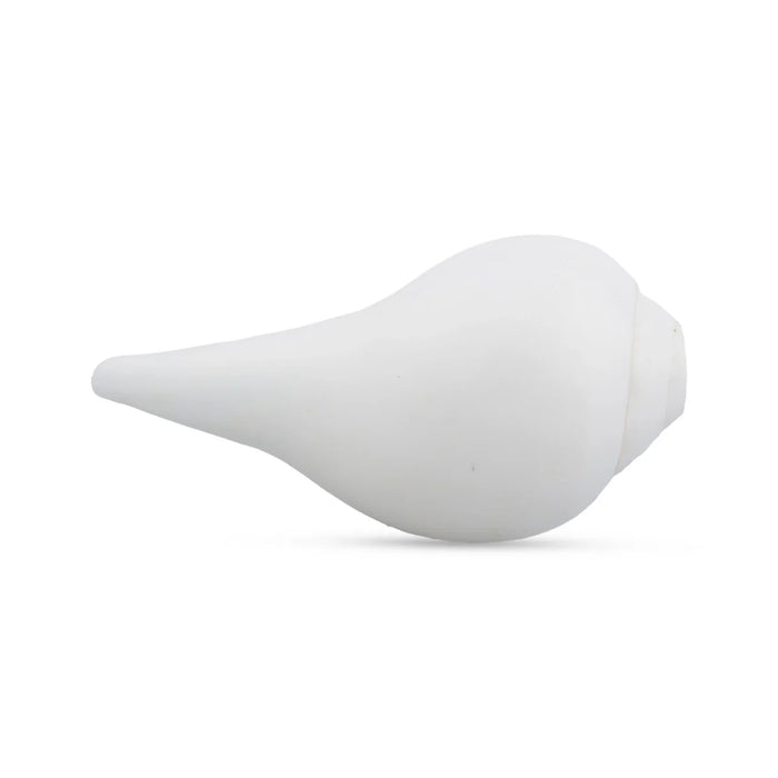 Blowing Shankh - 2.5 x 5 Inches | Shankha/ Conch for Pooja