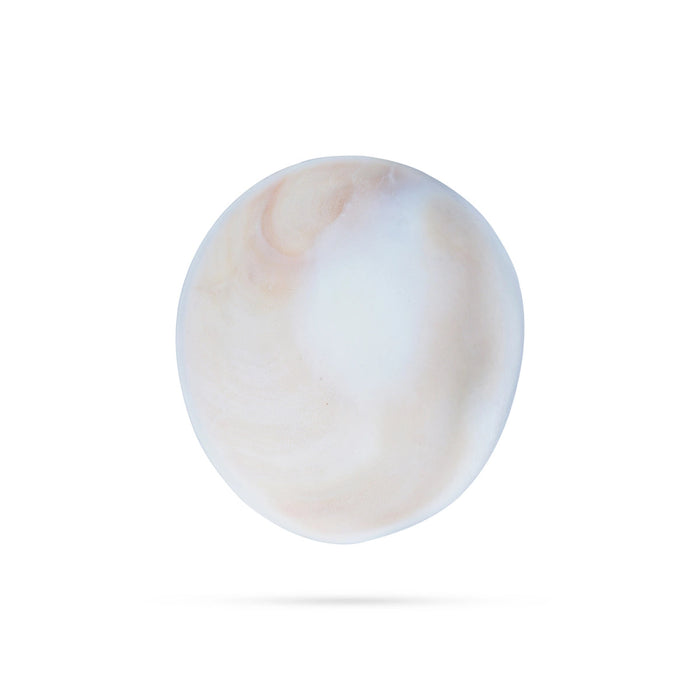 Gomti Chakra - 0.75 X 2 Inches | Gomathi Sakkaram/ Gomati Chakra For Vastu And Good Luck