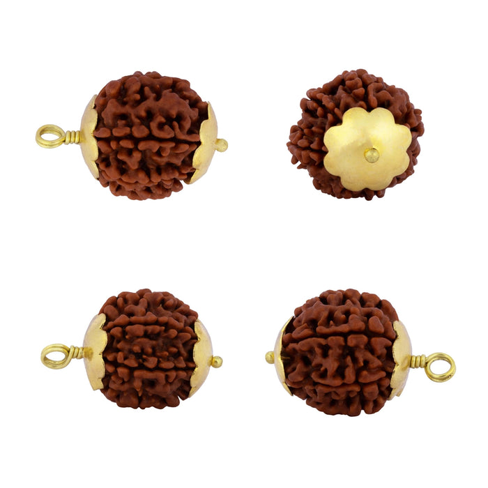 7 Mukhi Rudraksha Bead | Nepali Seven Mukhi Rudraksha/ Golden Cup Seven Faced Rudraksha Pendant for Men & Women