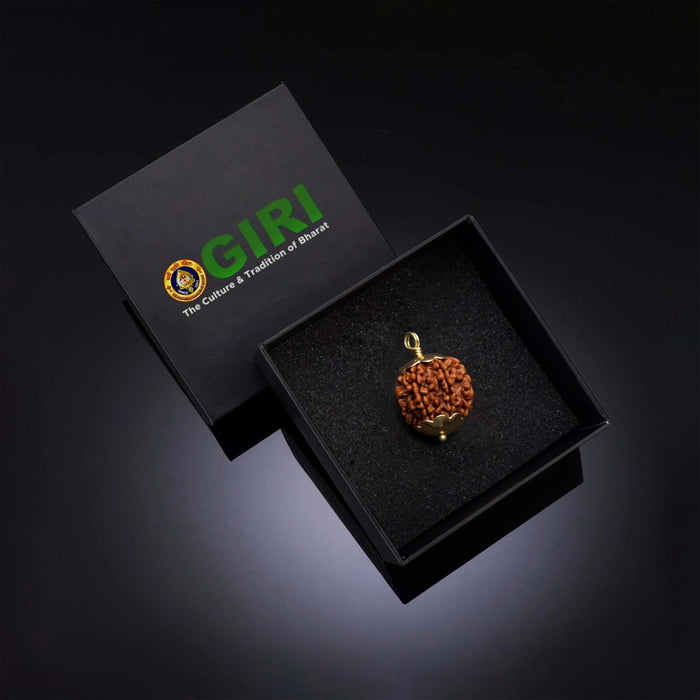 7 Mukhi Rudraksha Bead | Nepali Seven Mukhi Rudraksha/ Golden Cup Seven Faced Rudraksha Pendant for Men & Women