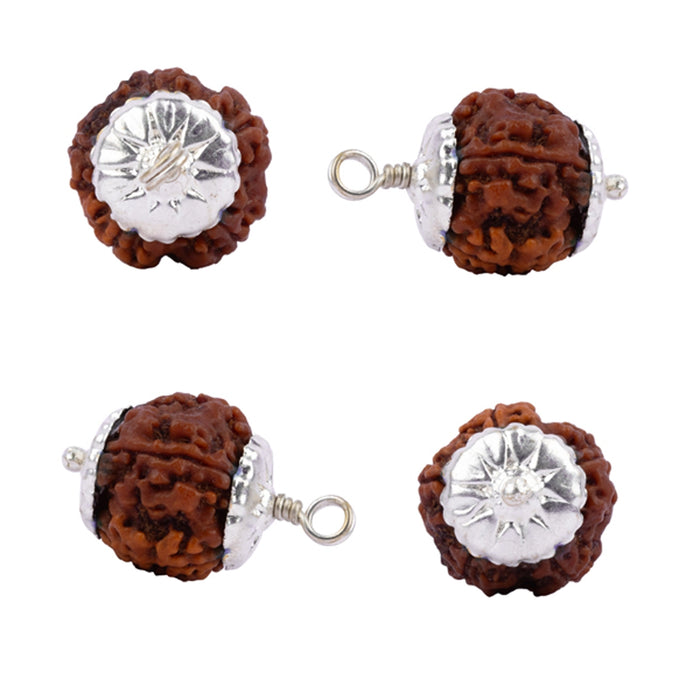 7 Mukhi Rudraksha Bead | Nepali Seven Mukhi Rudraksha Bead/ Silver Cup Seven Faced Rudraksha for Men & Women