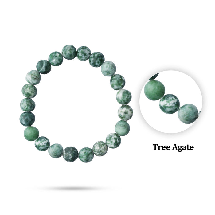 Tree Agate Bracelet - 2.5 Inches | Tree Agate Crystal Jewellery/ Stone Bracelet For Inner Stability
