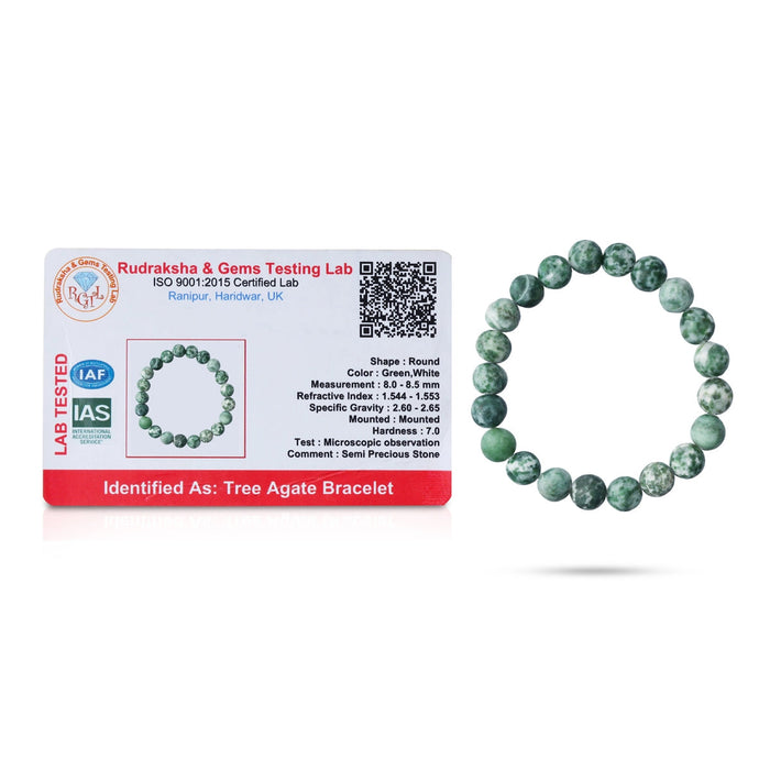 Tree Agate Bracelet - 2.5 Inches | Tree Agate Crystal Jewellery/ Stone Bracelet For Inner Stability