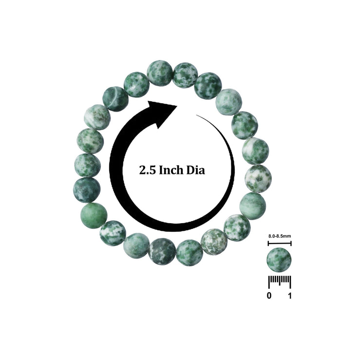 Tree Agate Bracelet - 2.5 Inches | Tree Agate Crystal Jewellery/ Stone Bracelet For Inner Stability