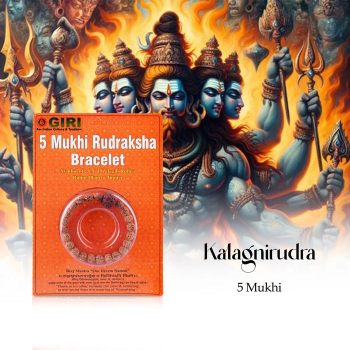 5 Mukhi Rudraksha Bracelet | Java Rudraksha Hand Bracelet/ 5 Face Rudraksh Hand Band For Spiritual Wear