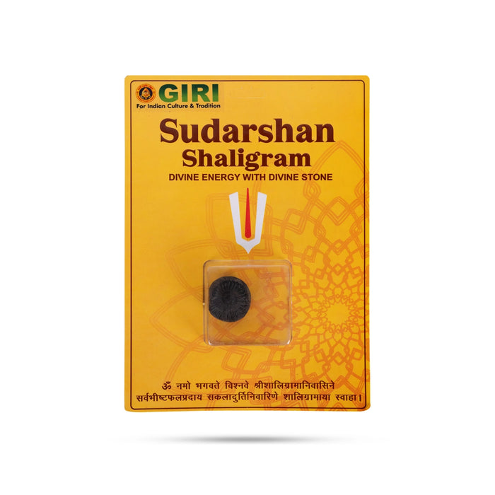 Sudarshan Shaligram Murti | Sudarshan Chakra Shaligram Idol/ Vishnu Shaligram Murti for Pooja & Temple Worship