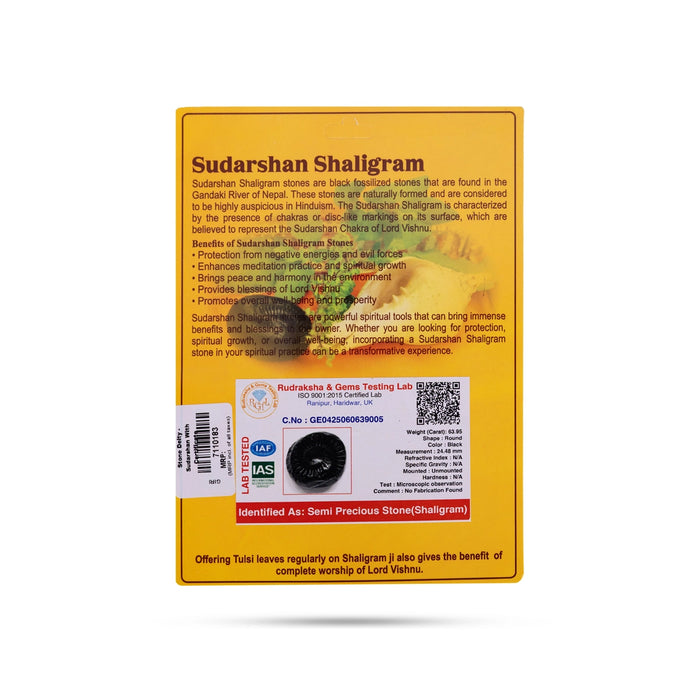 Sudarshan Shaligram Murti | Sudarshan Chakra Shaligram Idol/ Vishnu Shaligram Murti for Pooja & Temple Worship
