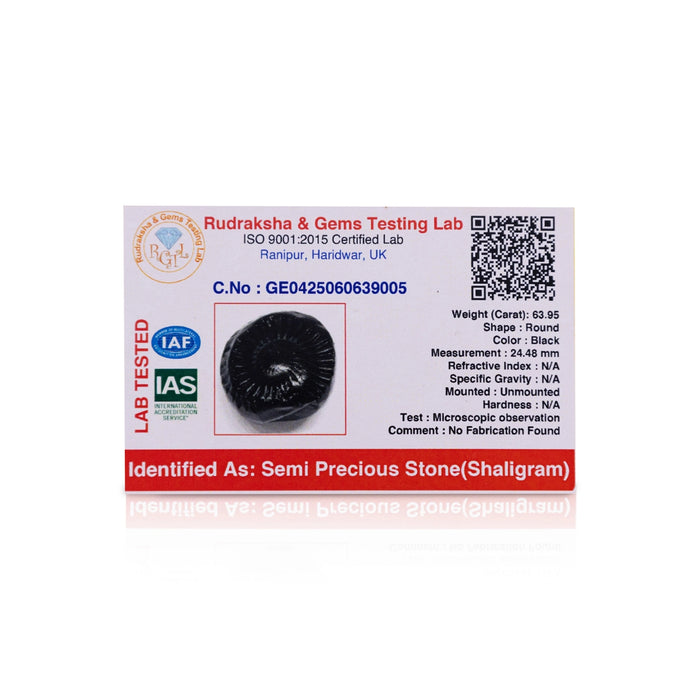 Sudarshan Shaligram Murti | Sudarshan Chakra Shaligram Idol/ Vishnu Shaligram Murti for Pooja & Temple Worship
