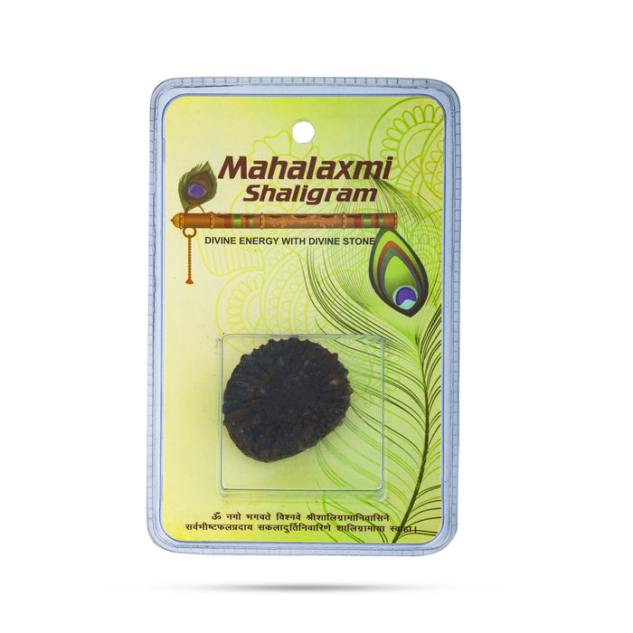 Mahalakshmi Shaligram Murti | Saligram Murti/ Shaligram Idol for Pooja