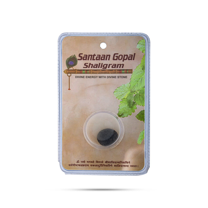 Santaan Gopal Shaligram Murti | Saligram Murti/ Shaligram Idol for Pooja