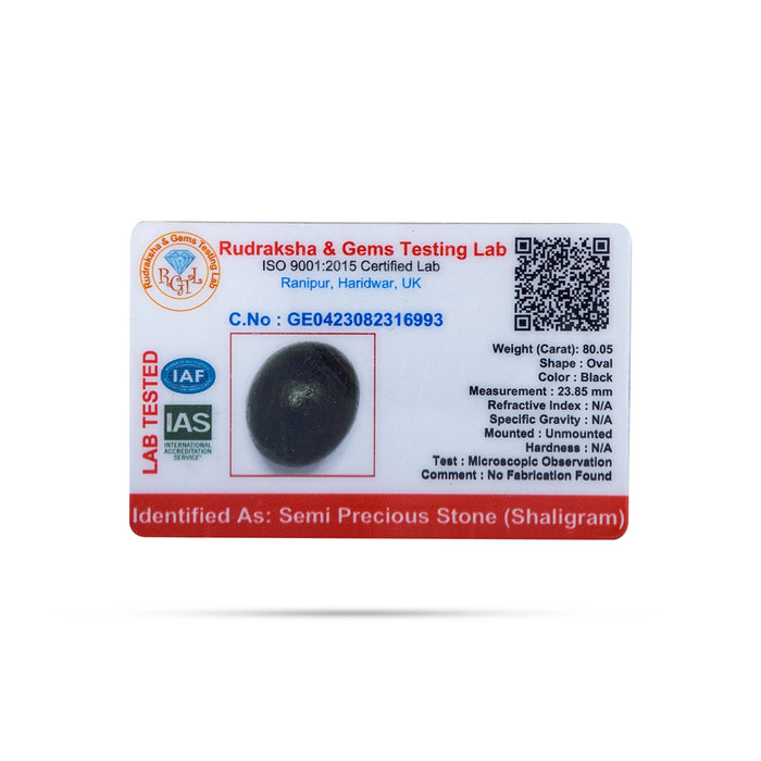 Santaan Gopal Shaligram Murti | Saligram Murti/ Shaligram Idol for Pooja