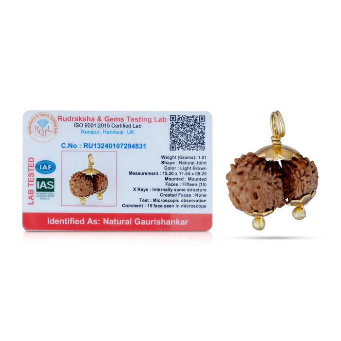 Gowri Shankar Rudraksha Pendant - 7 x 5 Inches | Java Rudraksh Locket/ Gold Cup Rudraksha Pendant for Men & Women