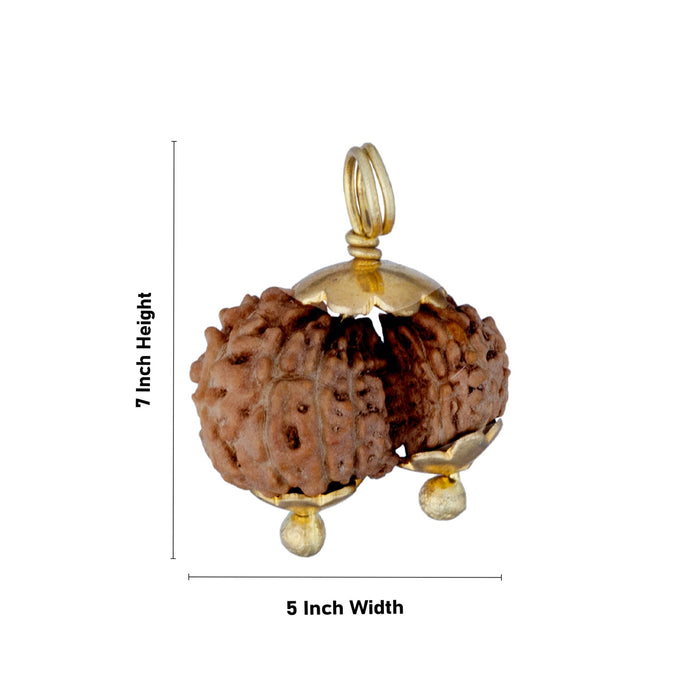 Gowri Shankar Rudraksha Pendant - 7 x 5 Inches | Java Rudraksh Locket/ Gold Cup Rudraksha Pendant for Men & Women