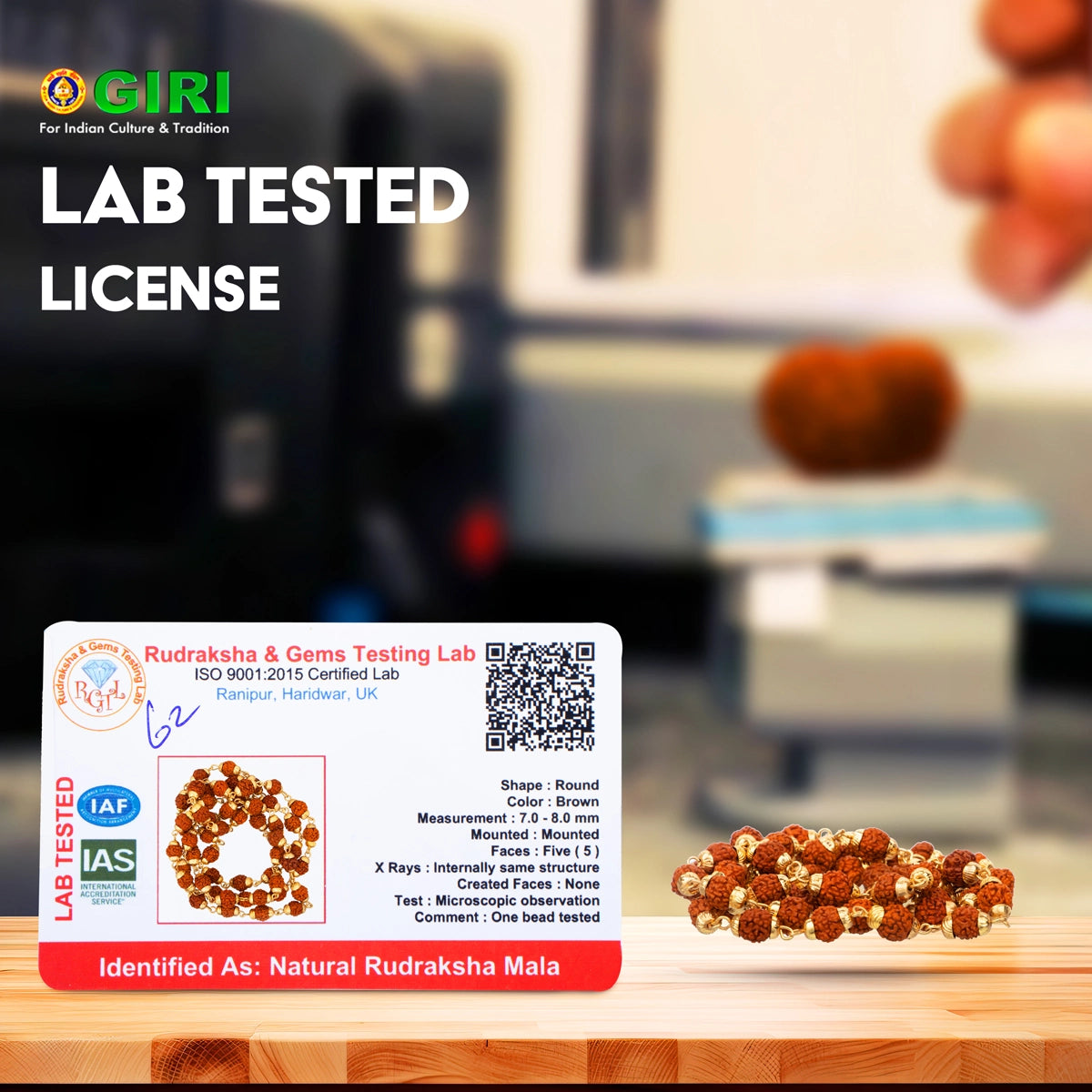 Guru Purnima Vyasa Puja Special Collection