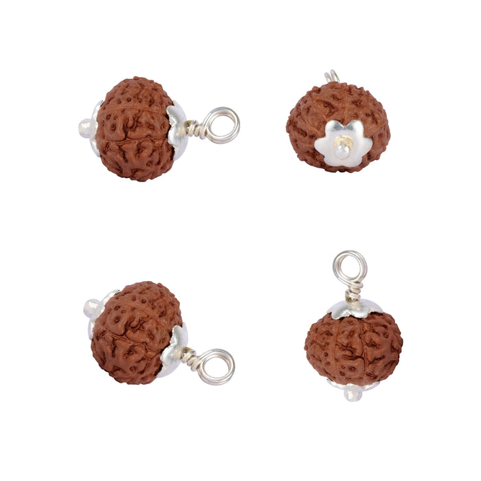 9 Mukhi Rudraksha Bead | Java Nine Mukhi Rudraksha/ Silver Cup Nine Face Rudraksha Pendant for Men & Women