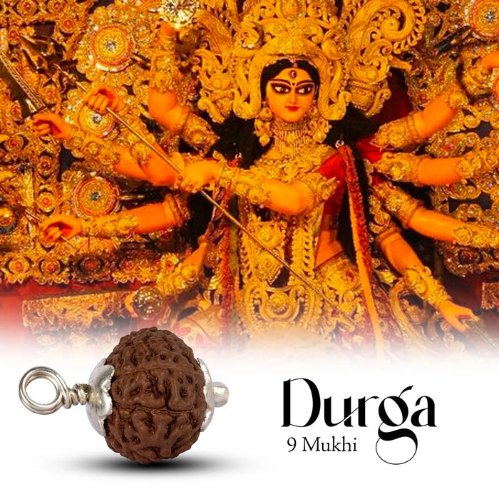 9 Mukhi Rudraksha Bead | Java Nine Mukhi Rudraksha/ Silver Cup Nine Face Rudraksha Pendant for Men & Women