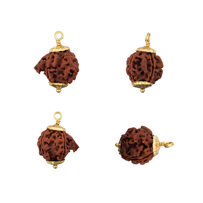 Ganapathi Rudraksha Bead | Nepali Ganesh Rudraksha Bead/ Golden Cup Ganesh Mukhi Rudraksha for Men & Women